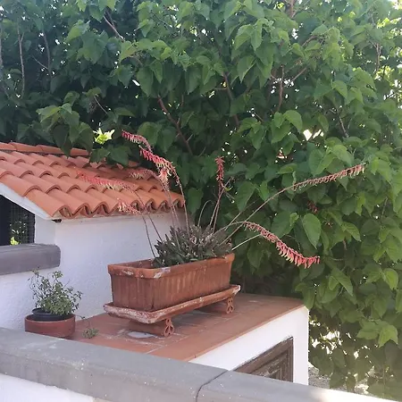 Emblema (adults Only) San Miguel de Abona