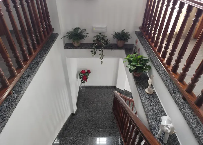 Emblema (adults Only) 圣米格尔德阿沃纳