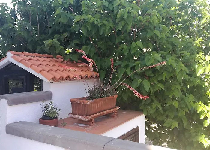 Emblema (adults Only) 圣米格尔德阿沃纳